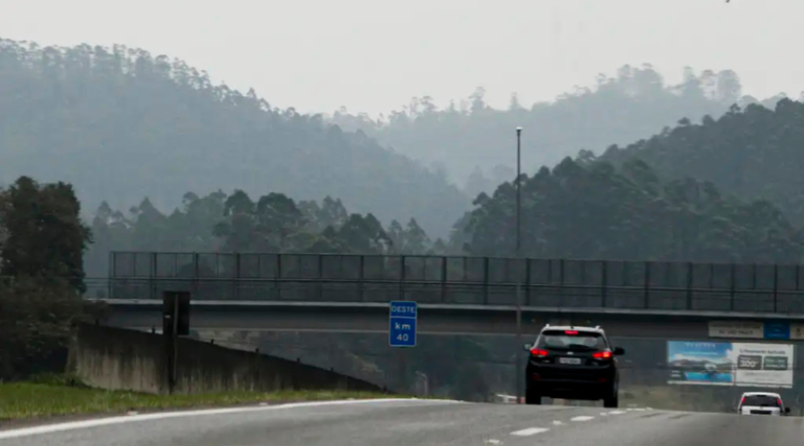 Conectividade nas rodovias pode salvar vidas e transformar a segurança viária no Brasil